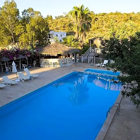 Pataros 3* Gelemiş