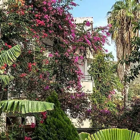 فندق Pataros
