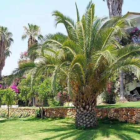 Pataros 3*