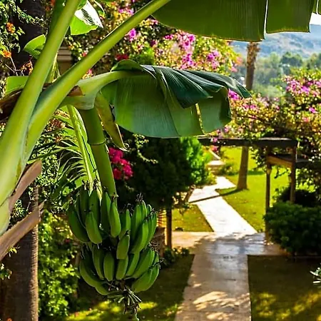 Hotell Pataros Gelemiş